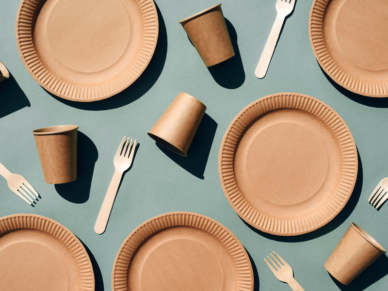 Patterned activities and teaching understanding of object labels