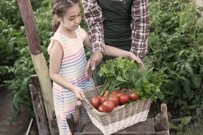 Patterned Activities: Paving the Way to Competence