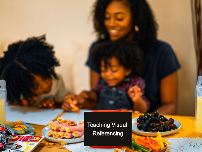 Teaching Visual Referencing