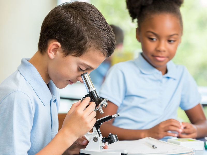 Then comes verbal reasoning…